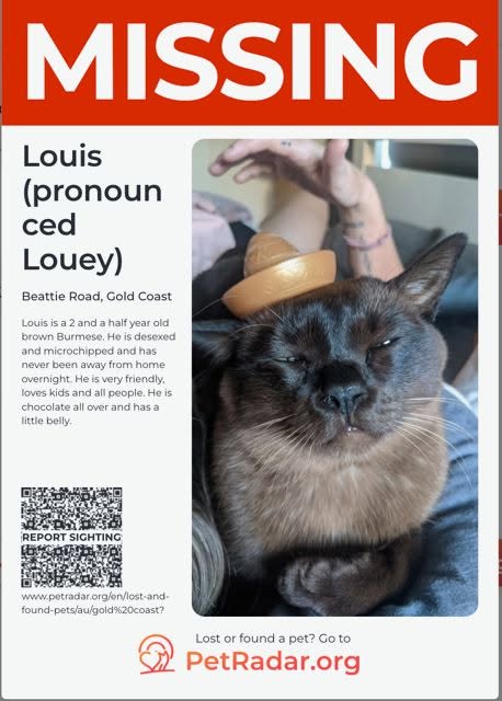 Lost Cat in Gold Coast