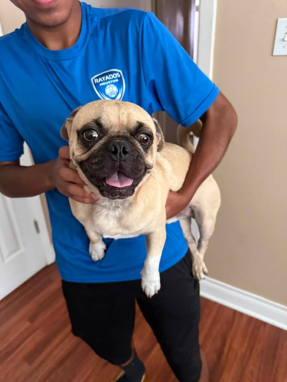Lost Dog in Houston