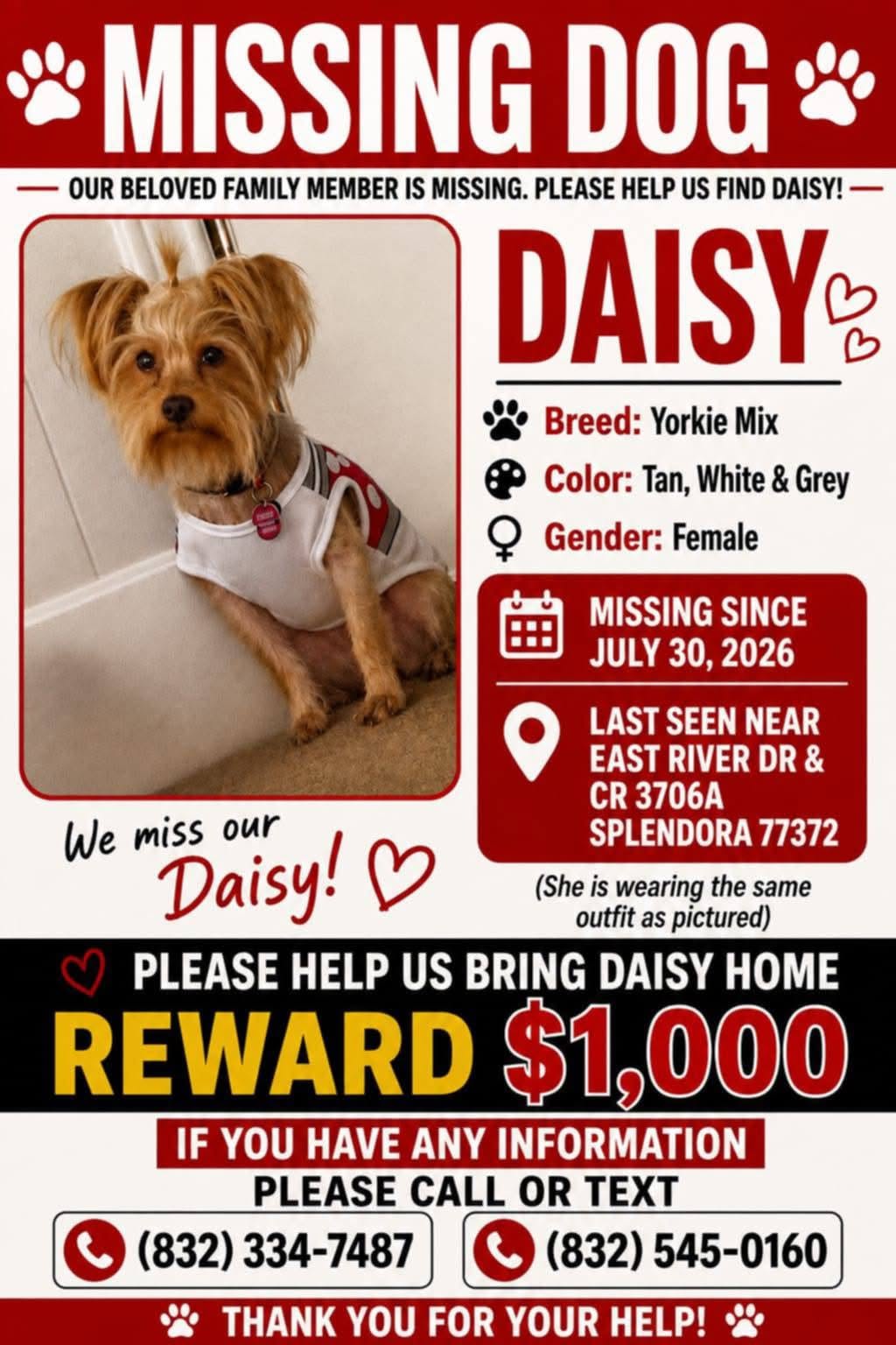 Lost Dog in Splendora