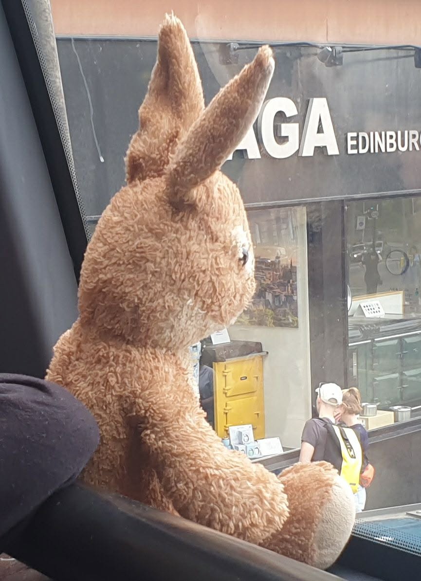 Lost Toy in Glasgow