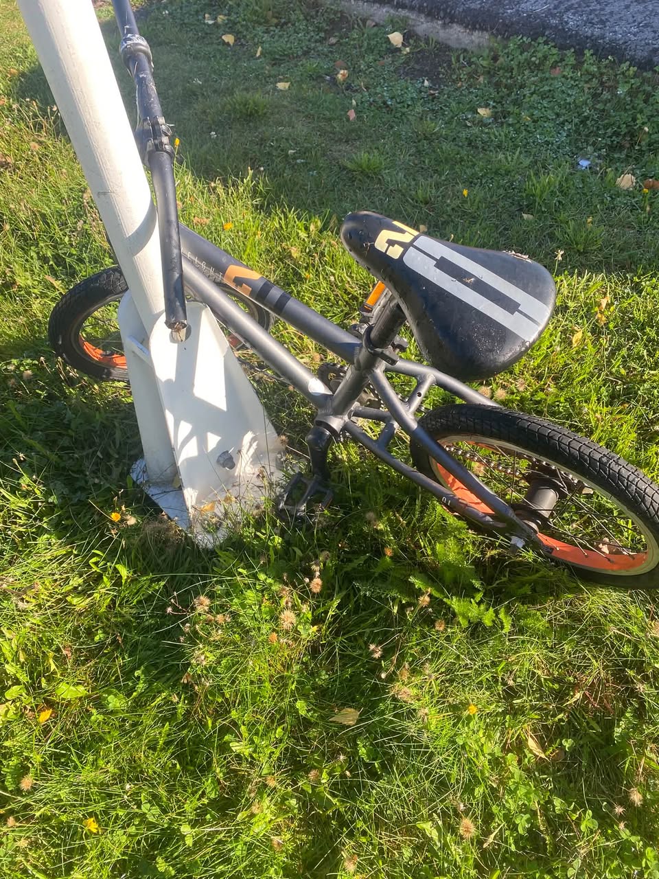 Found bike