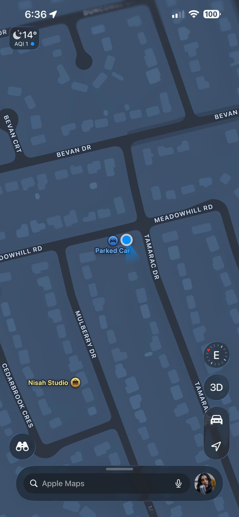Found cat