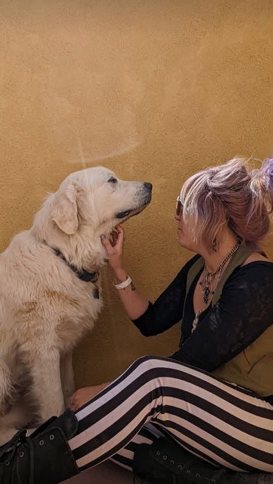 Lost dog