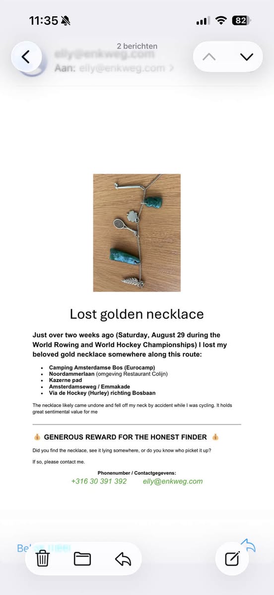 Lost necklace