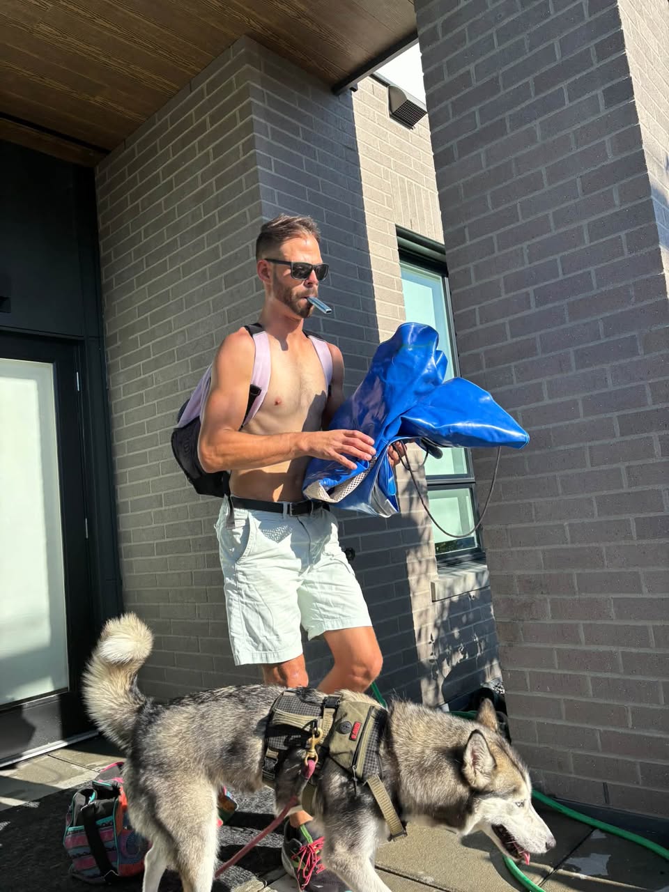 Lost Dog in Port Coquitlam