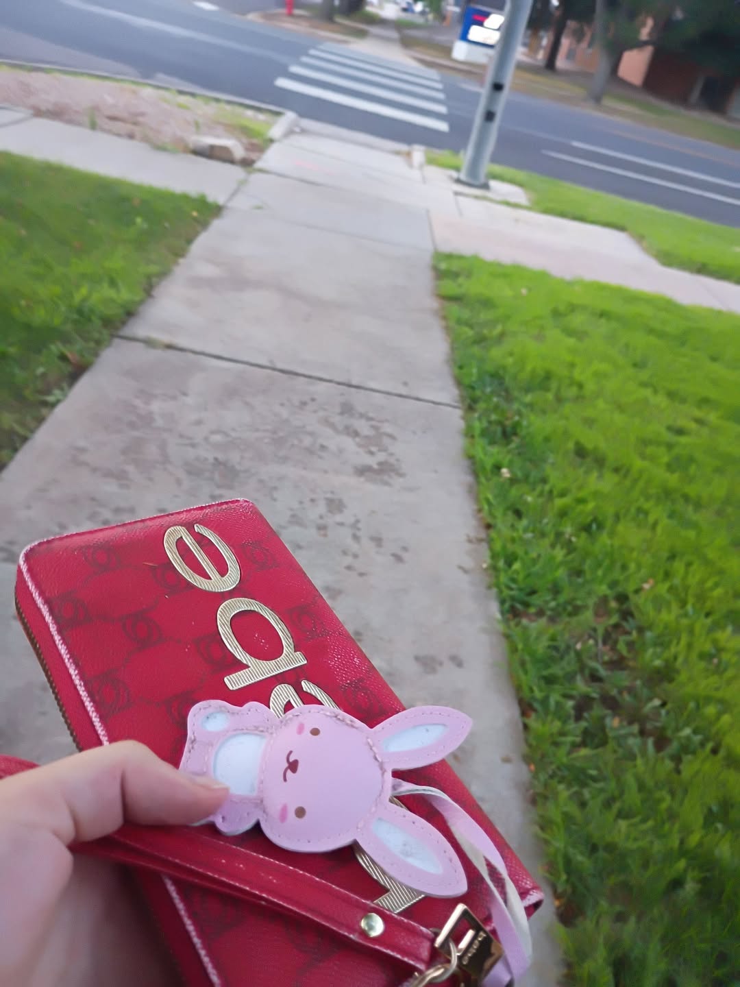 Found Wallet in Greeley