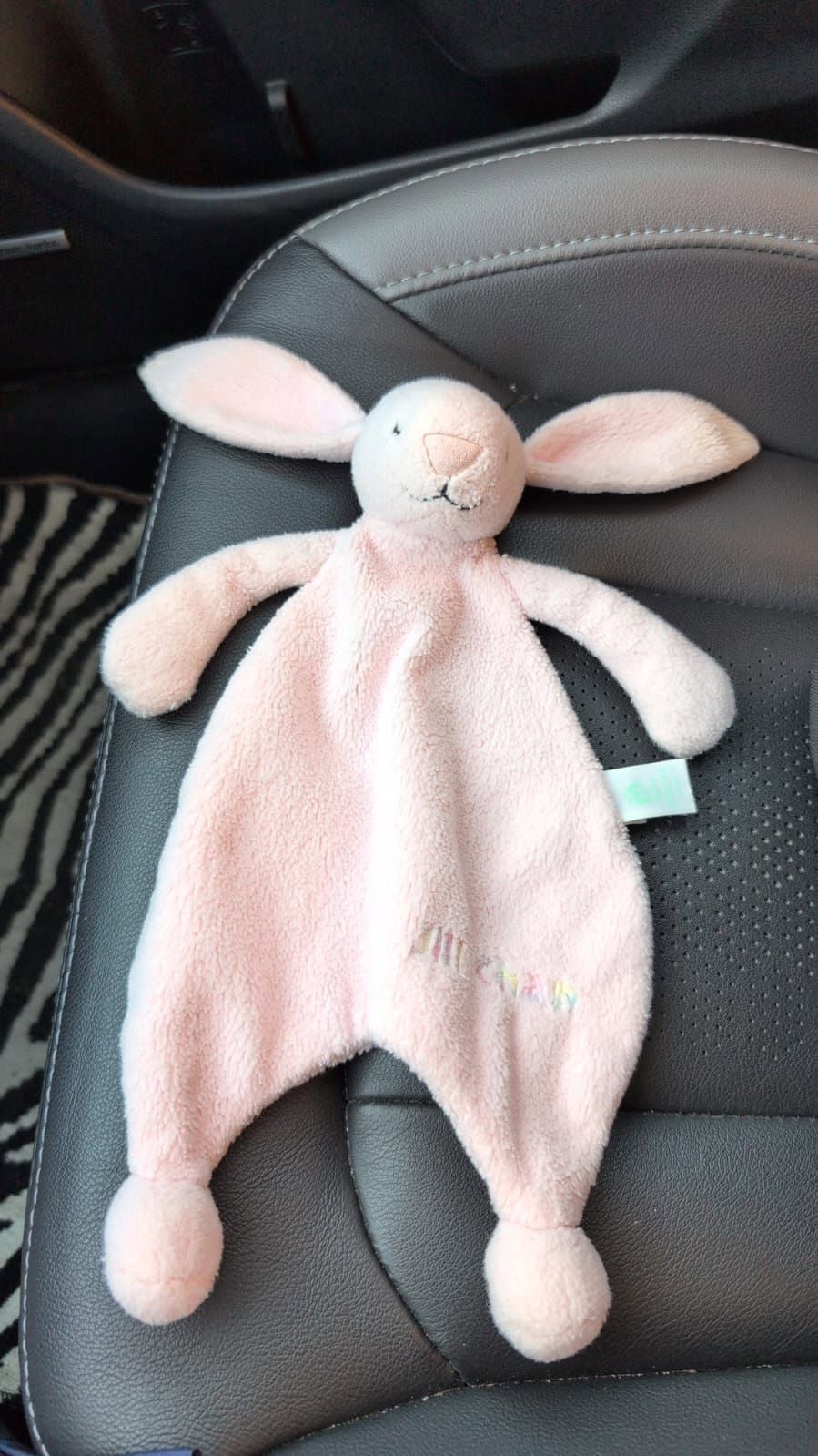 Lost toy