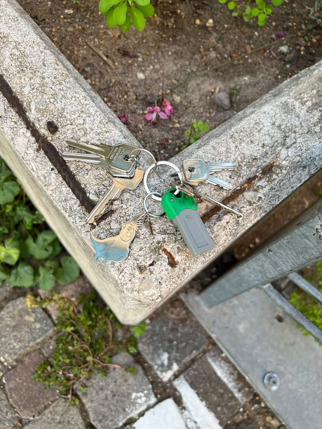 Found keys