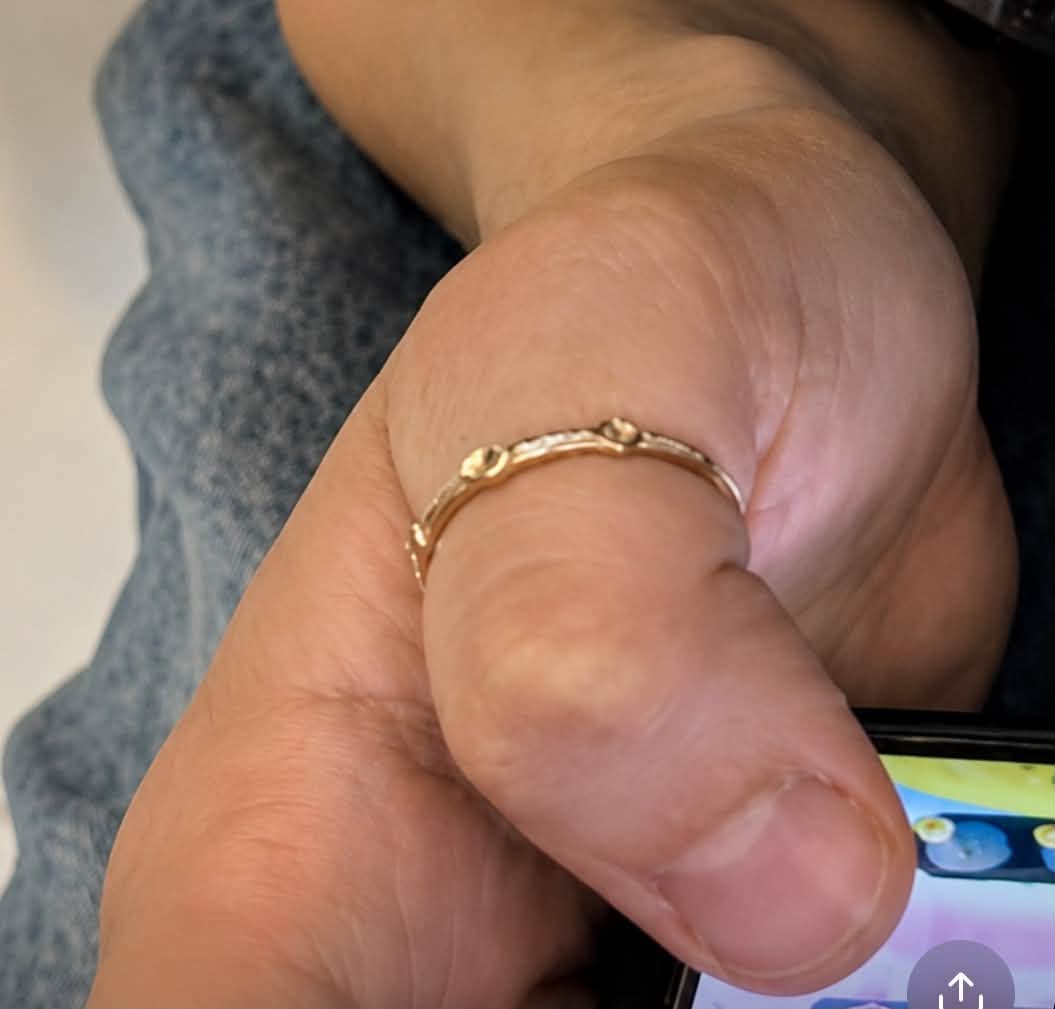 Lost Ring in Lakeshore Bike Path