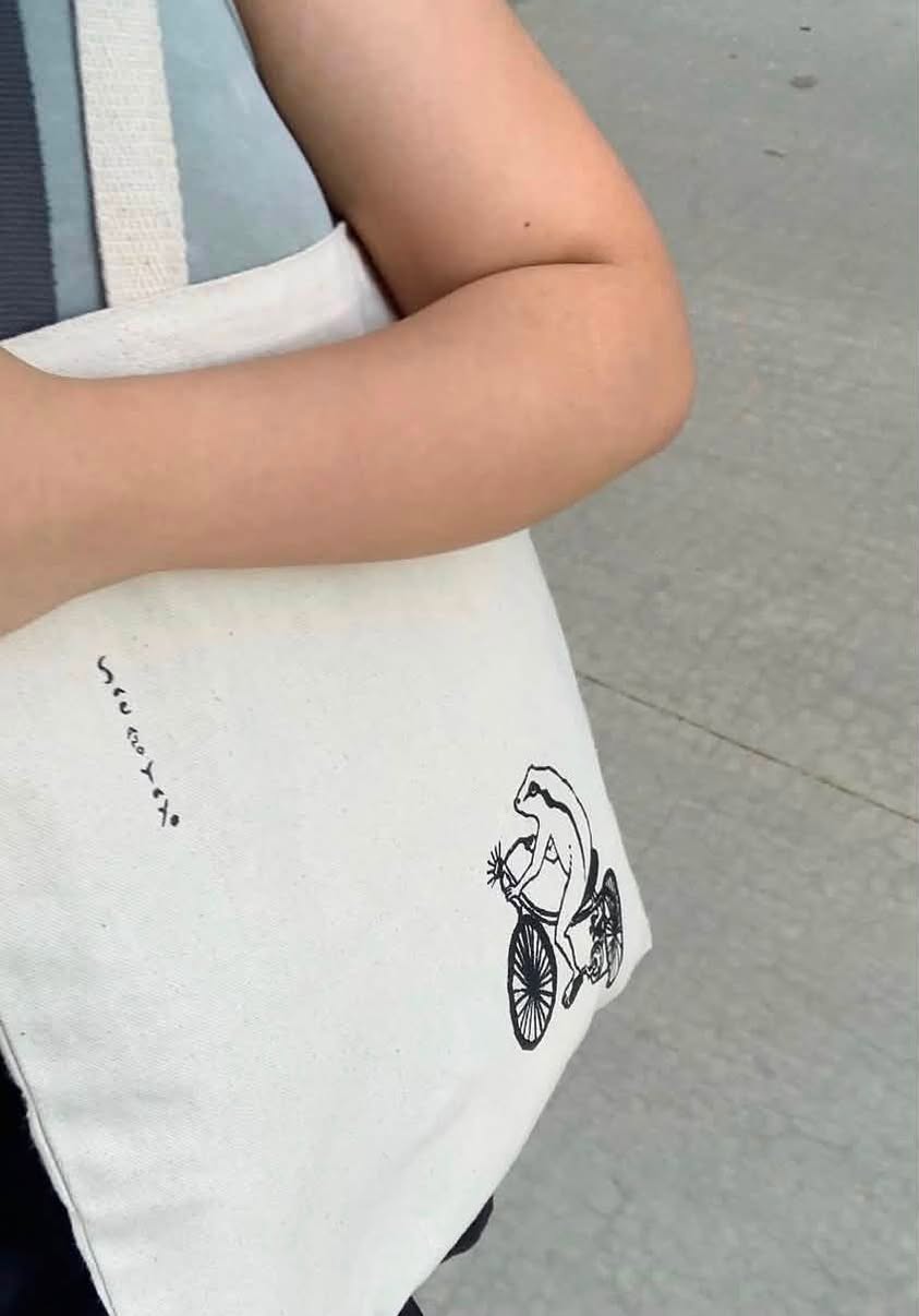 Lost Bag in Toronto