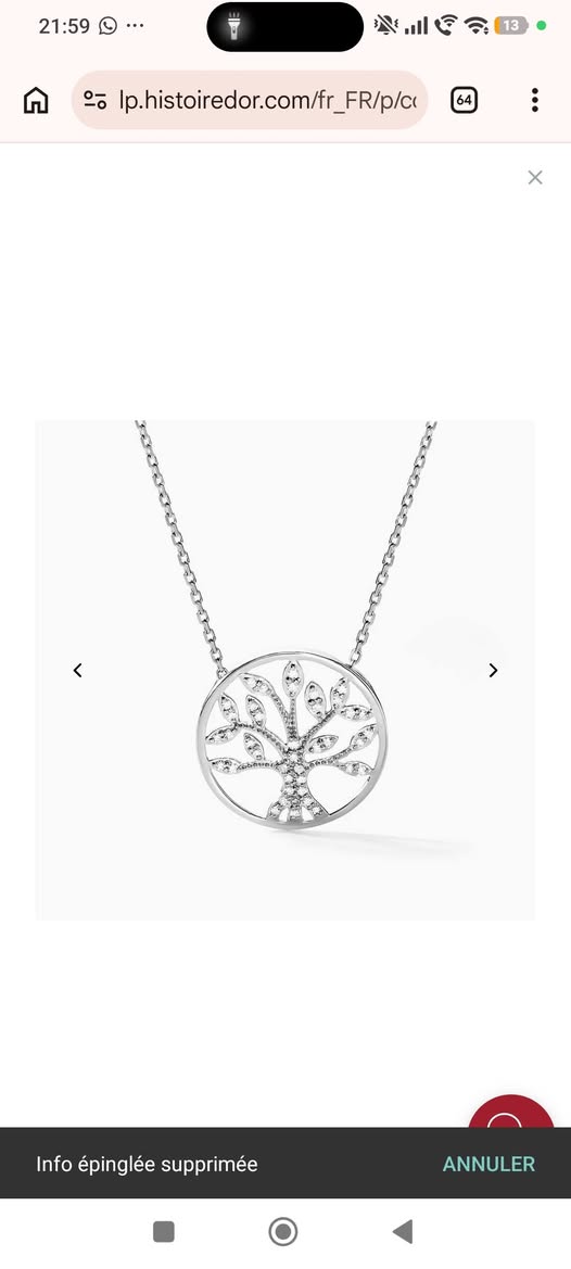 Lost necklace