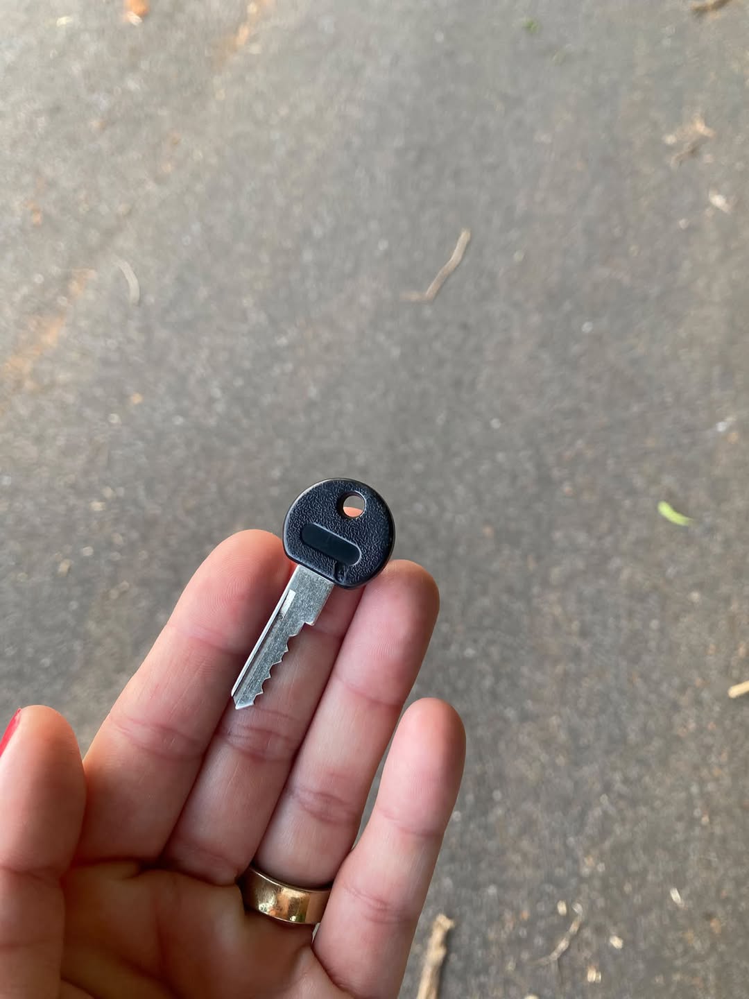 Found Keys in Bushaltestelle Inselweg