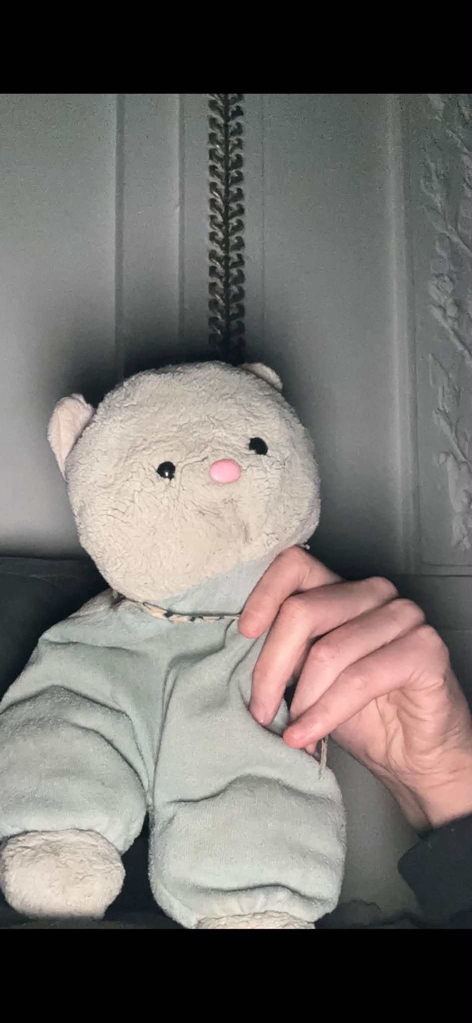 Lost Plush Toy in Paris