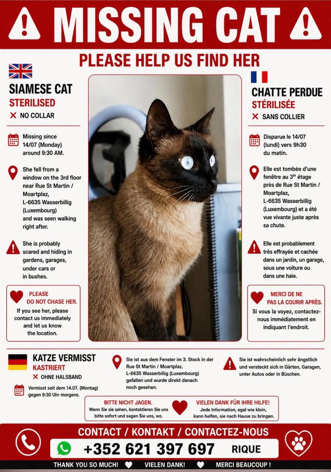 Lost Cat in Wasserbillig