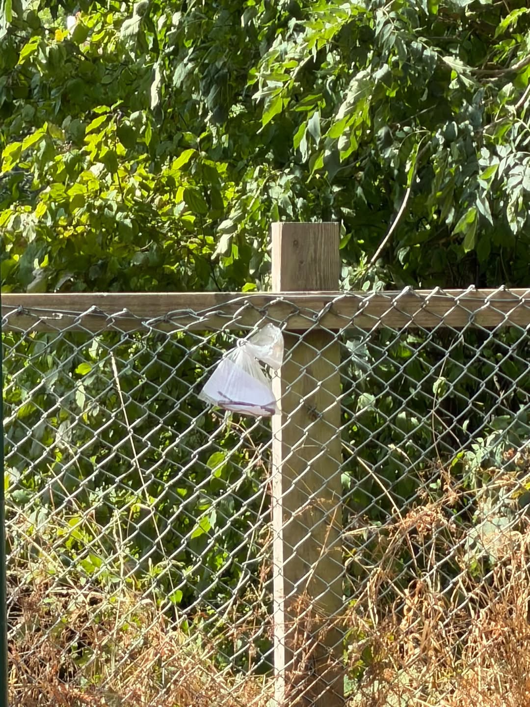 Found glasses