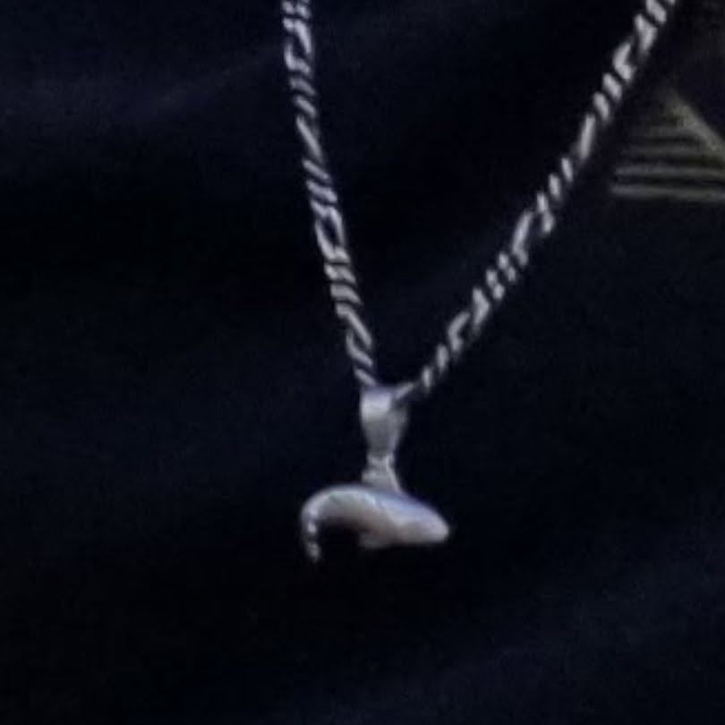 Lost Necklace in Fox Lake