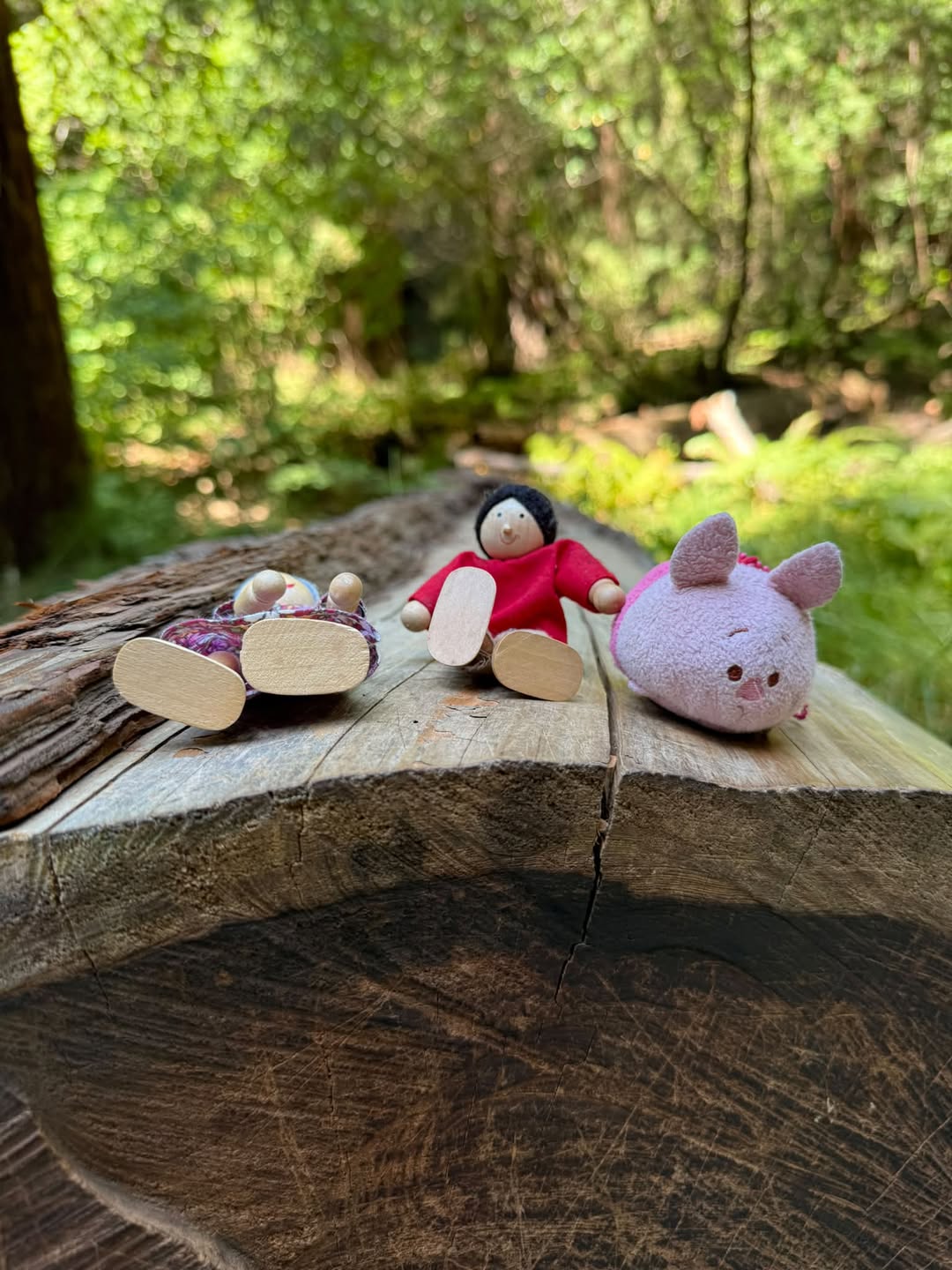 Lost toy