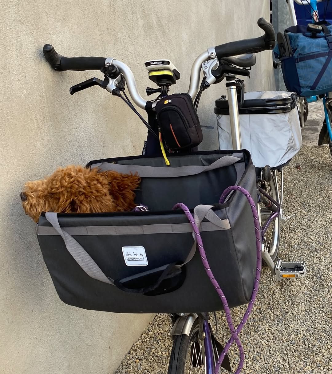 Lost Bag in Grundhof