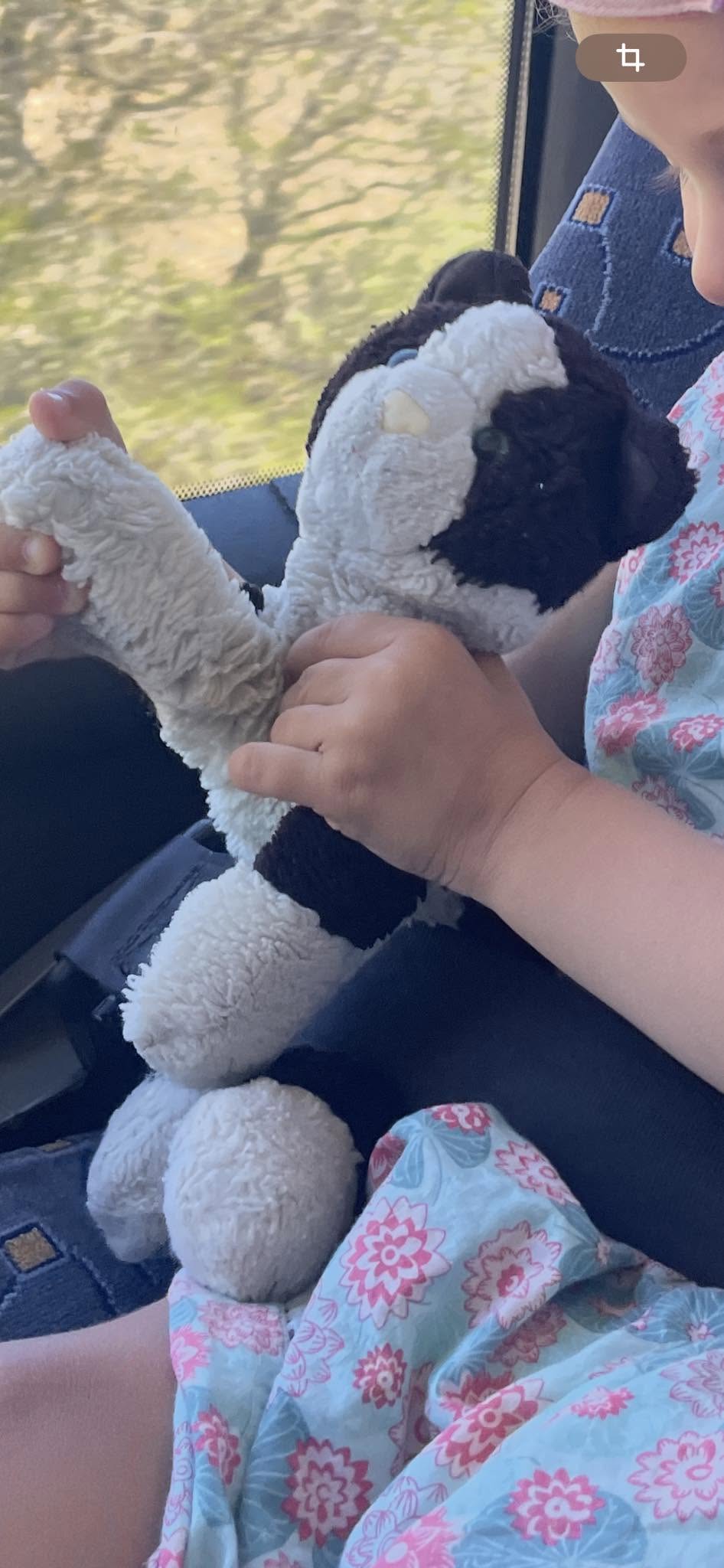 Lost Toy in Paris