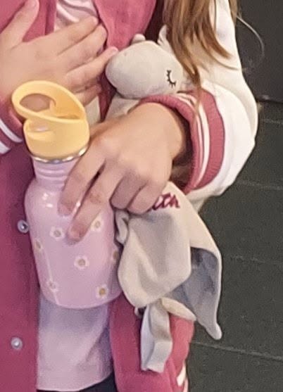Lost toy