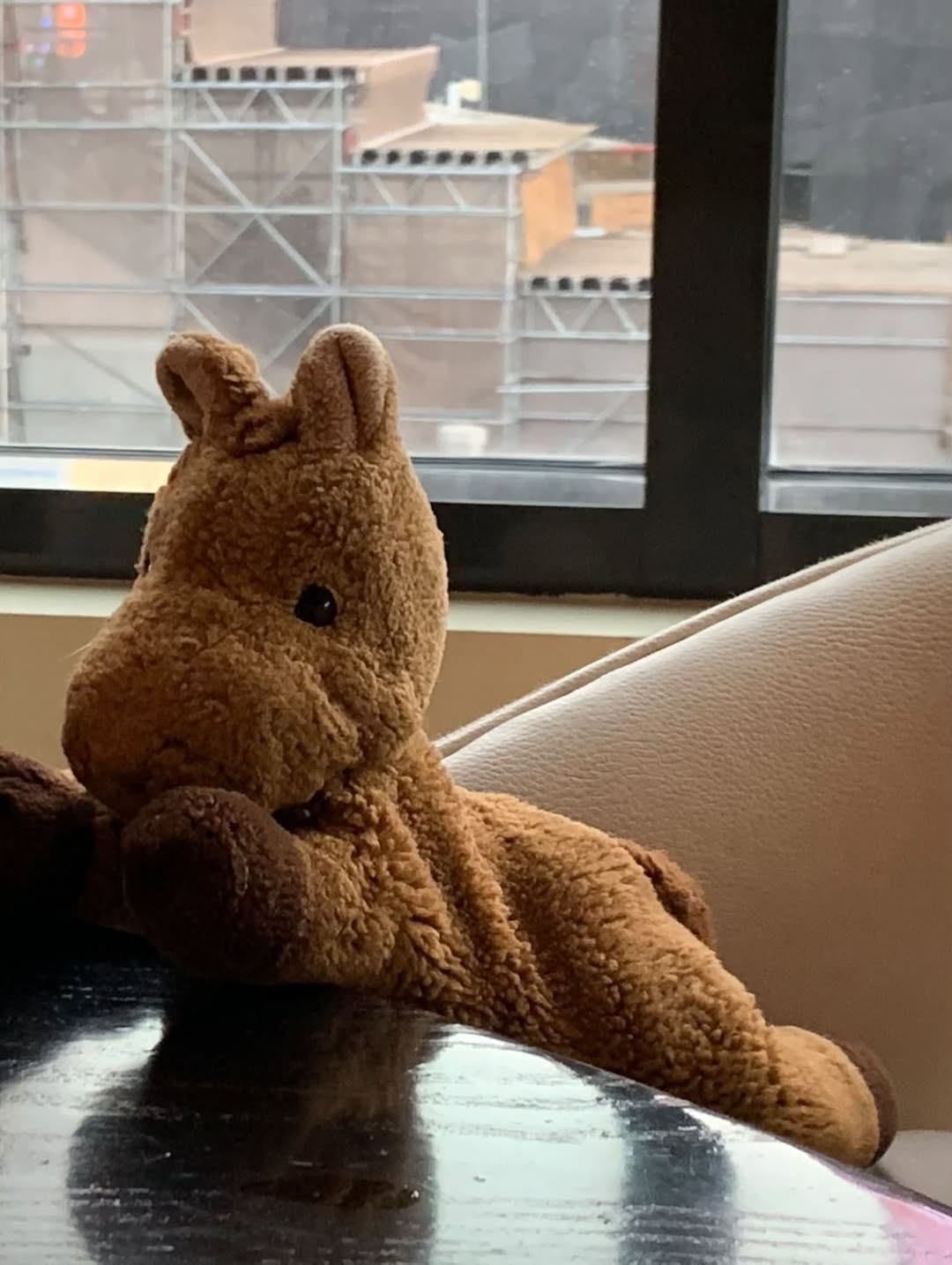 Lost Toy in San Francisco