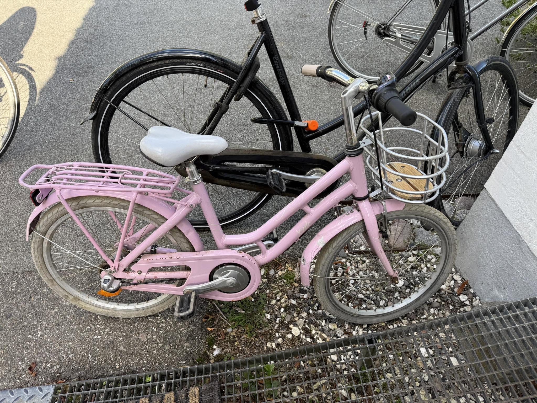 Found bike