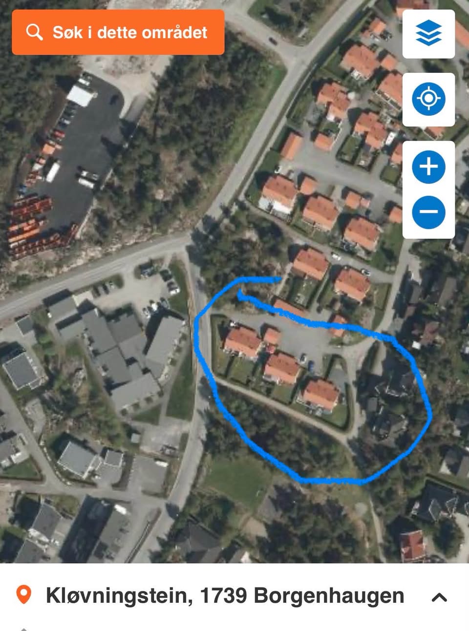 Found cat