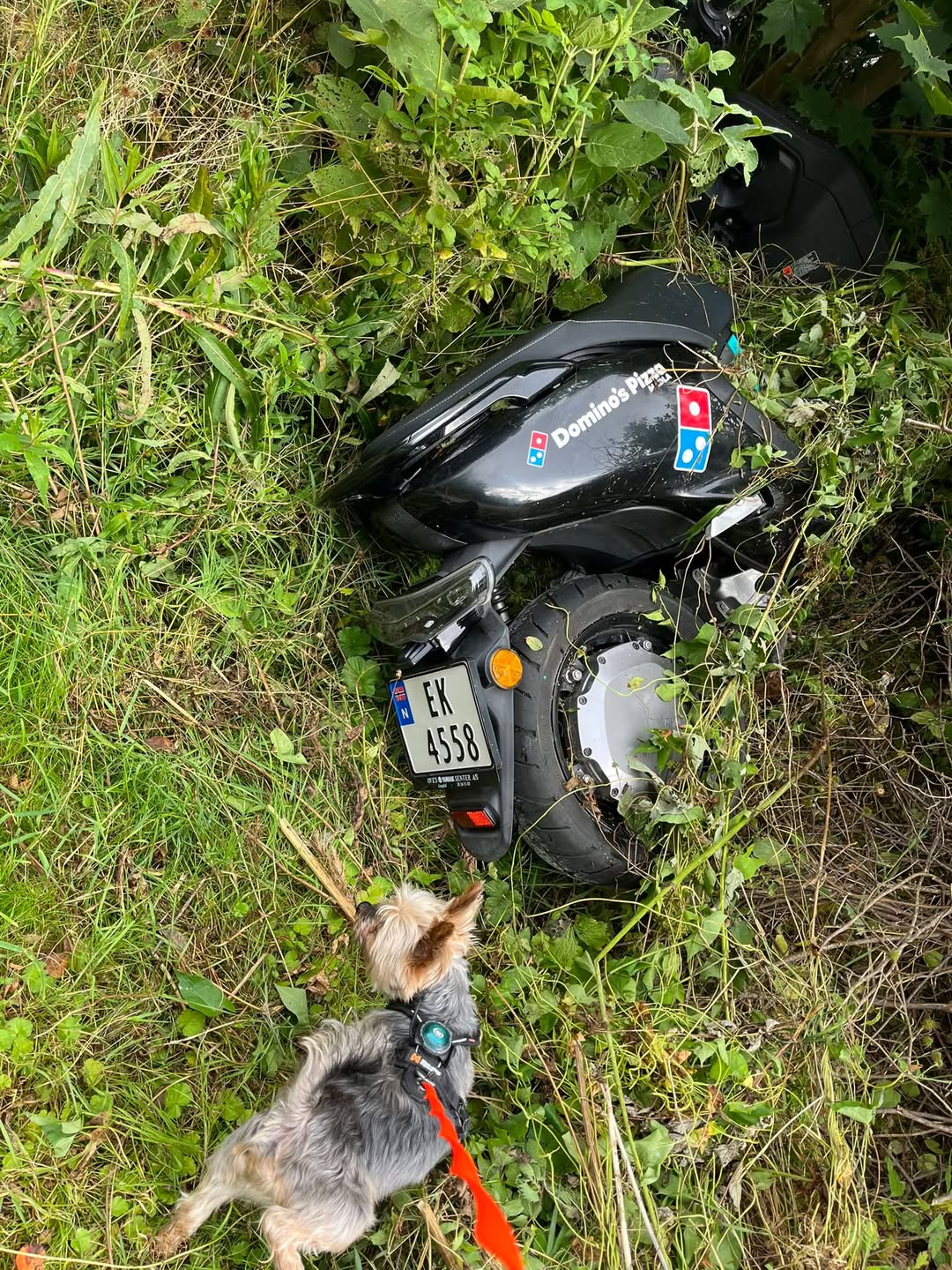 Found scooter