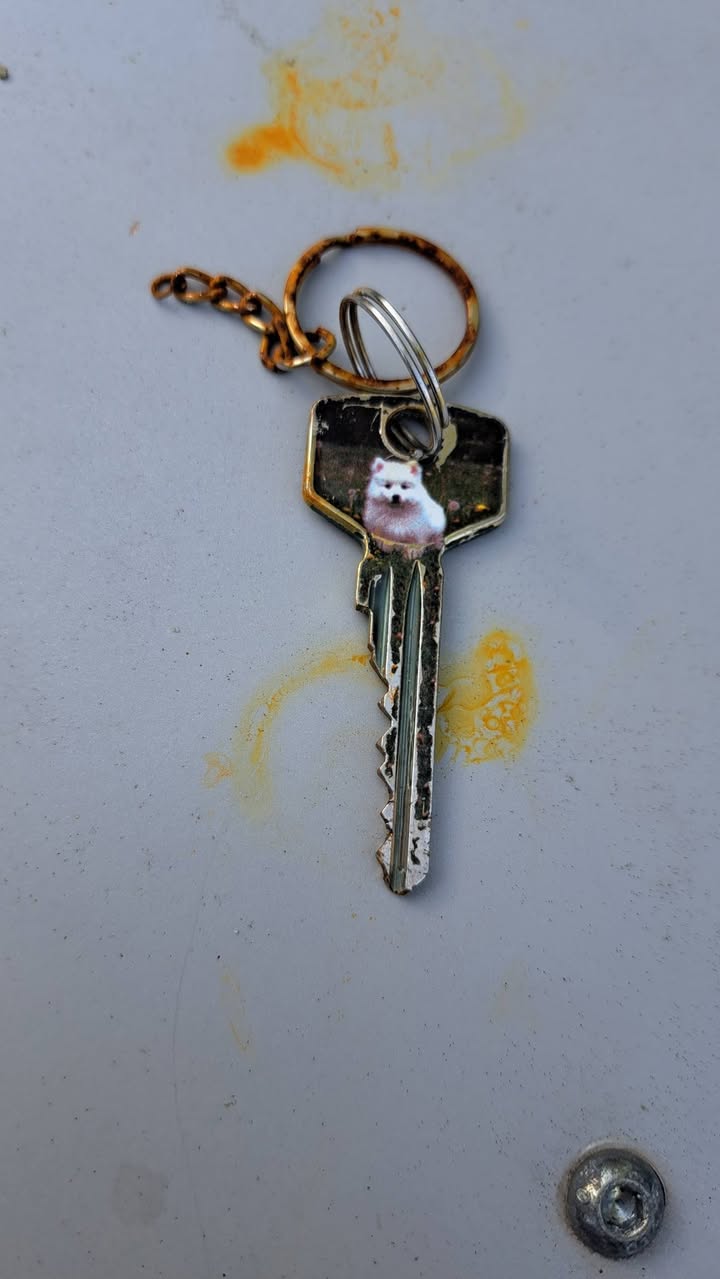 Found keys