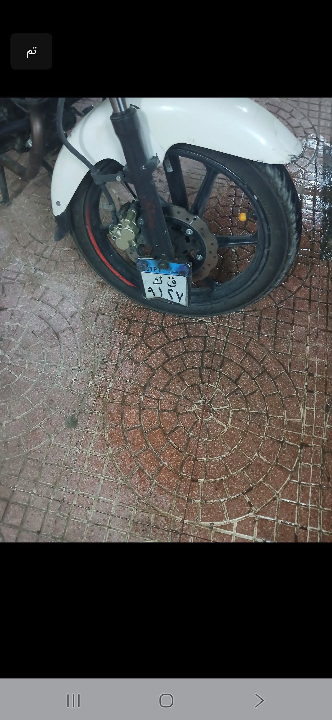 Lost License Plate in Egypt