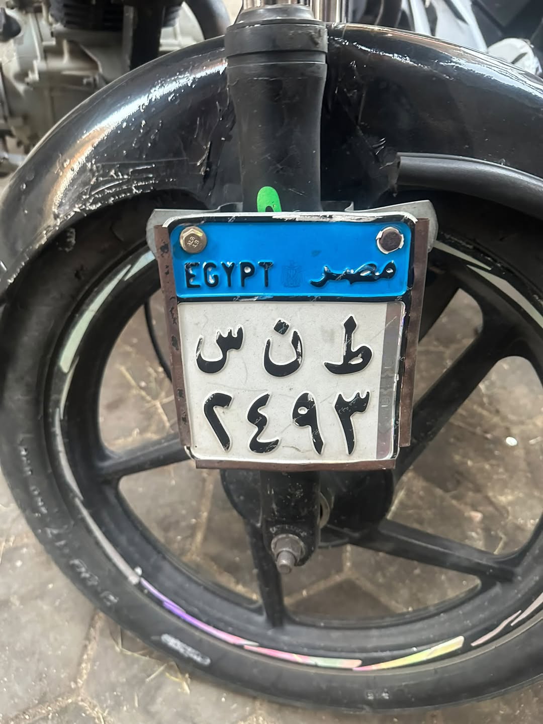 Lost License Plate in Egypt