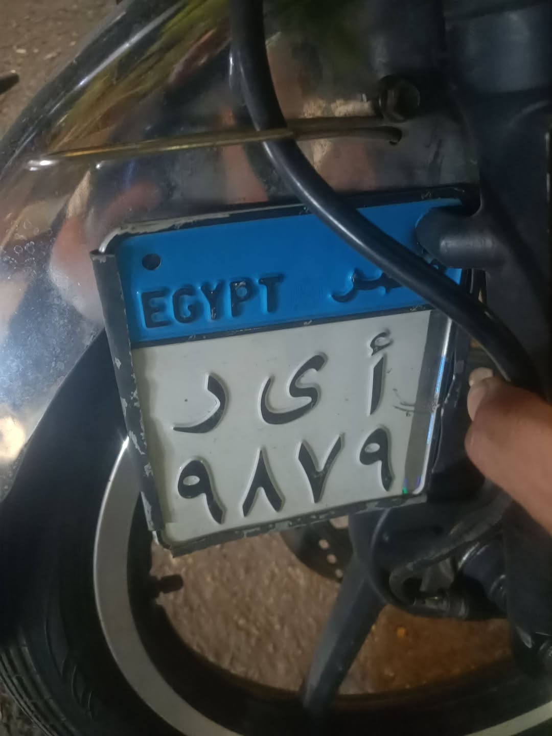 Lost License Plate in Egypt