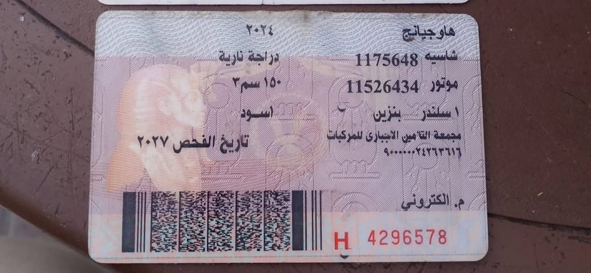 Lost ID in Faiyum