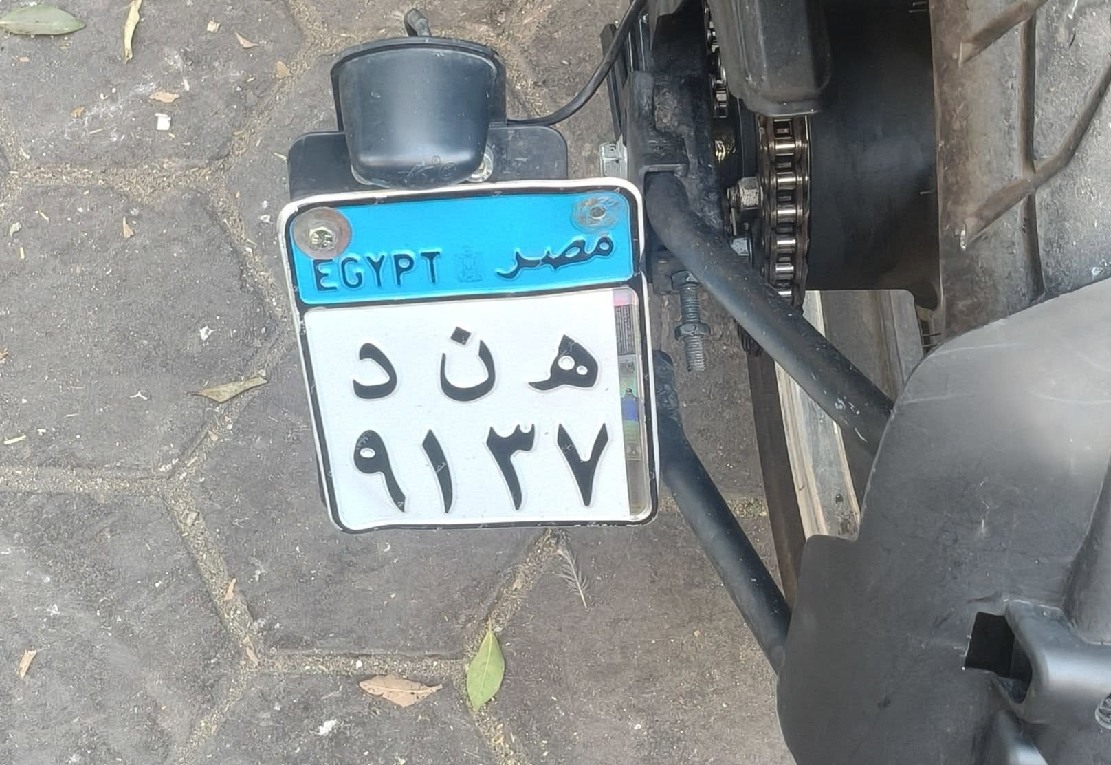 Lost License Plate in Egypt