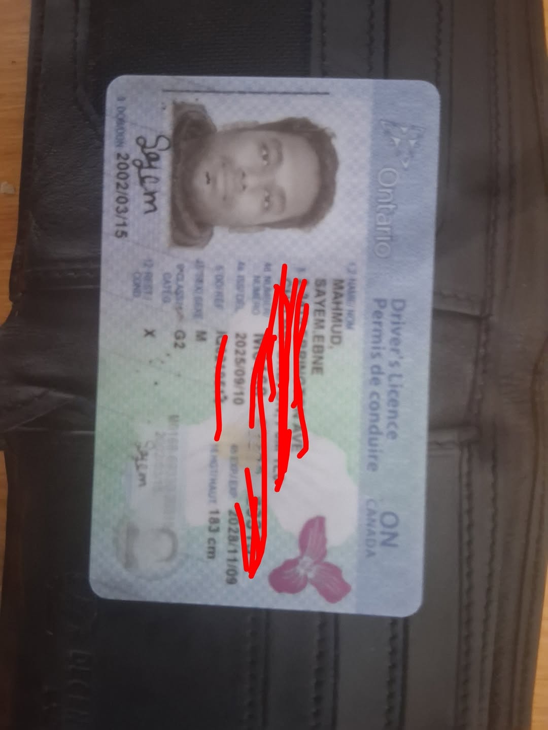 Found wallet