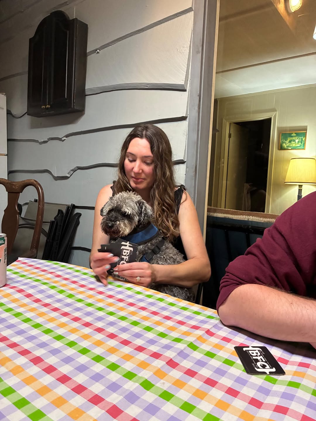 Lost Dog in Parry Sound