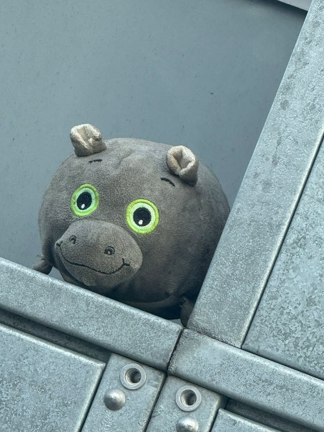 Found Toy in NorrtäLje