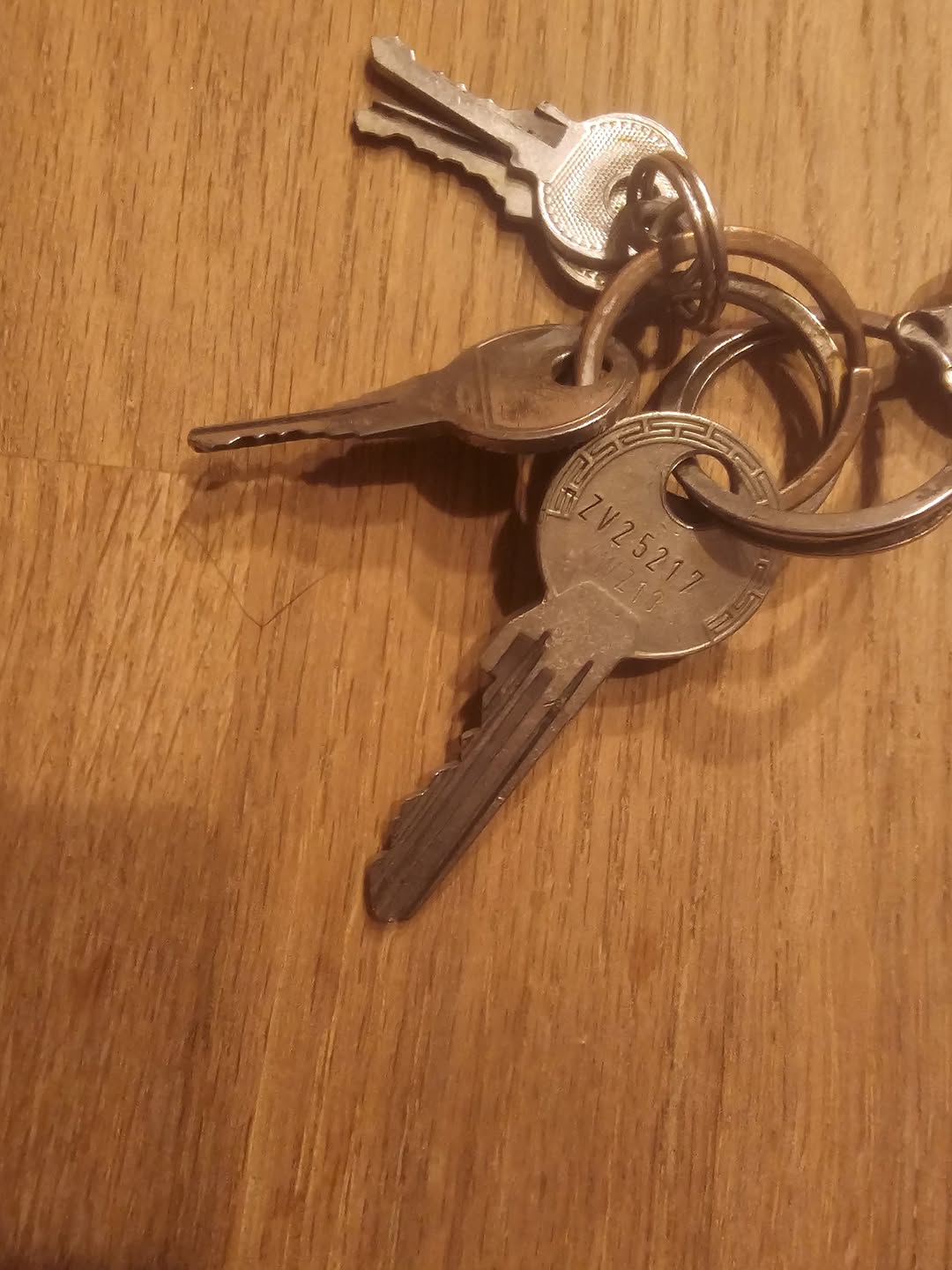 Found Keys in Kabelsketal