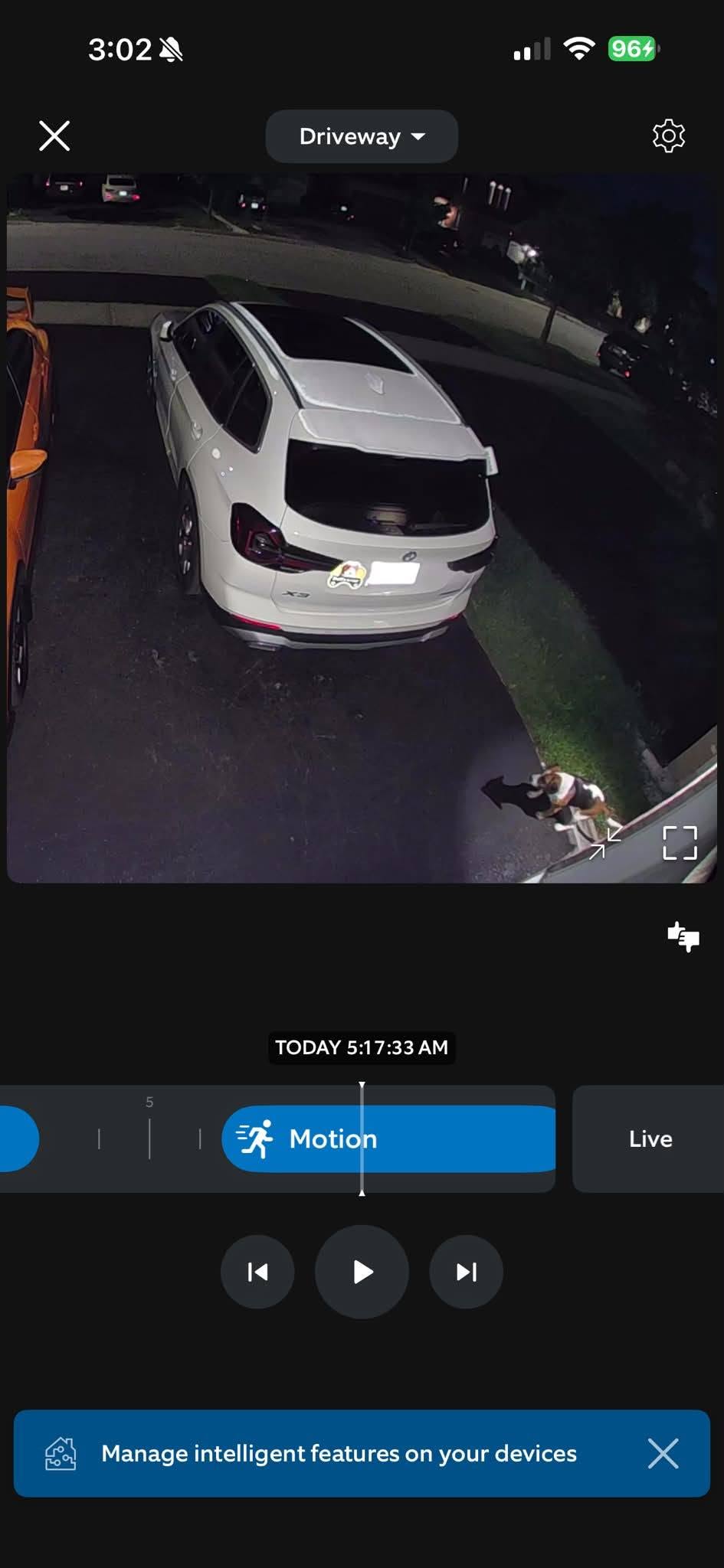 Found dog
