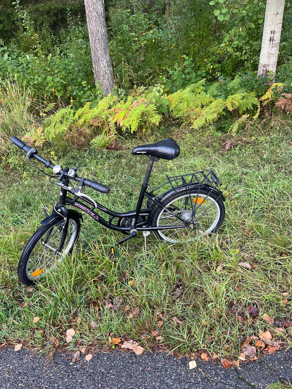 Found bike