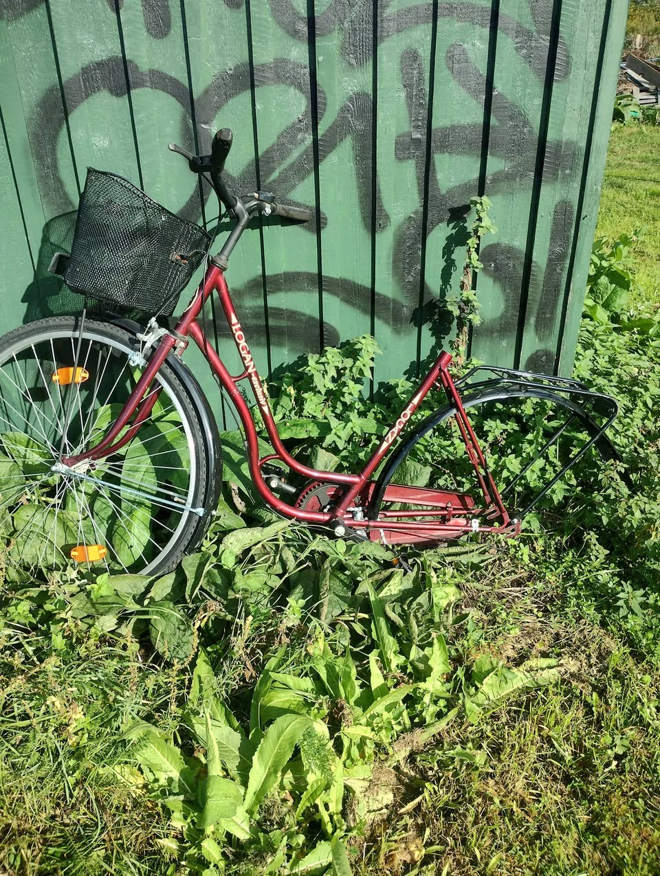 Found bike