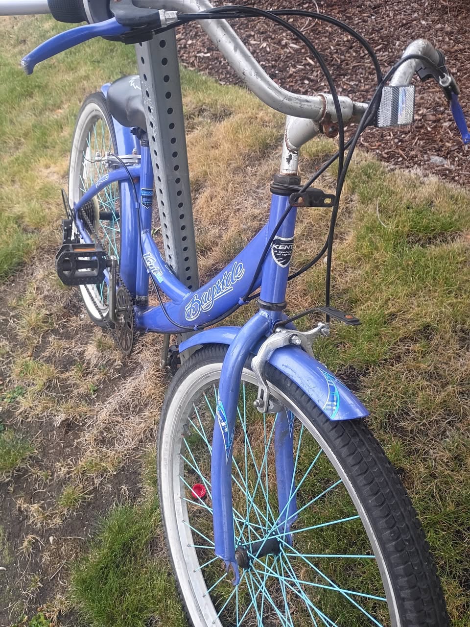 Found bike