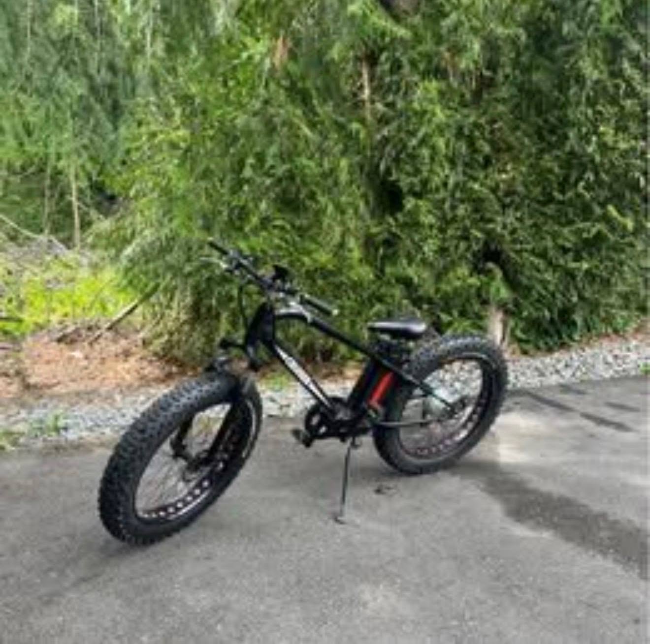 Lost Bike in Puyallup