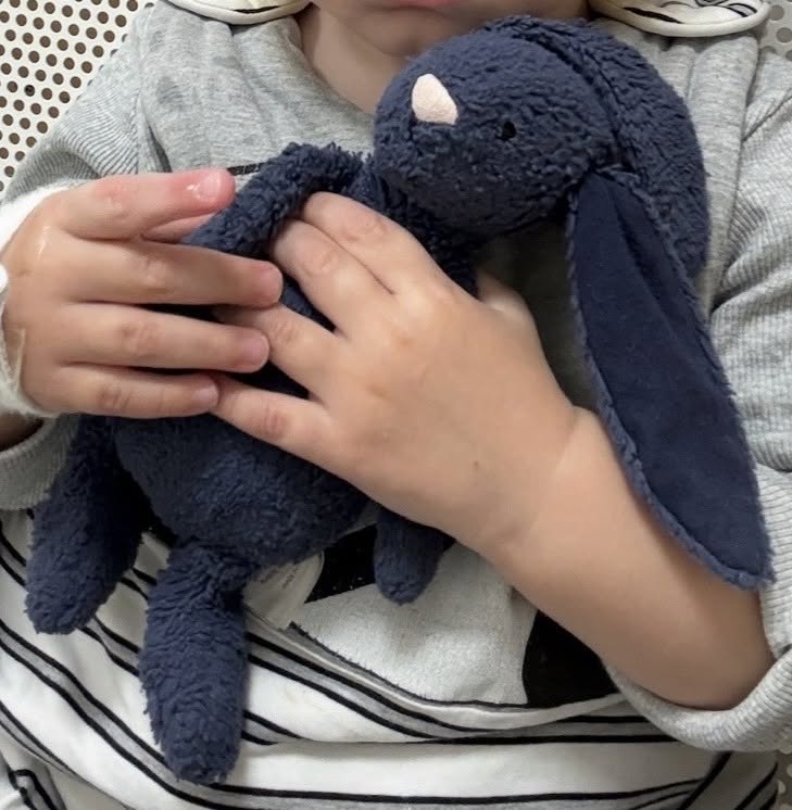Lost Toy in Hatfield