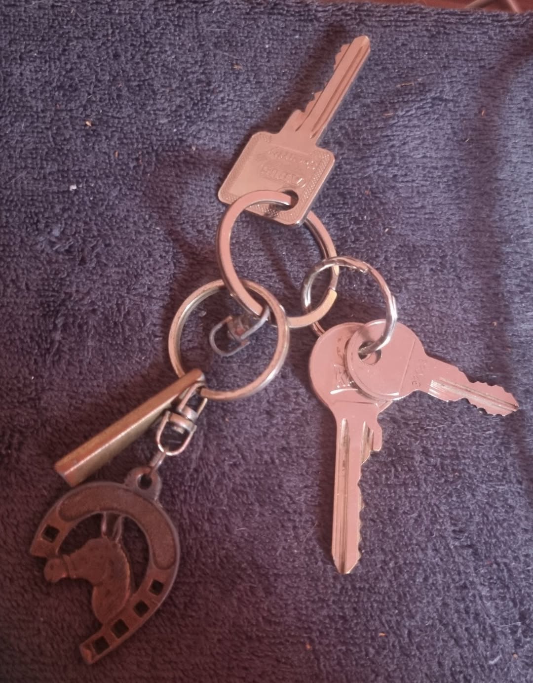 Found keys