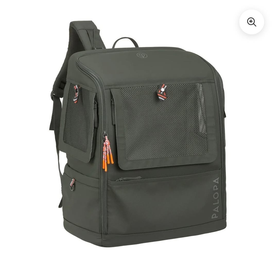 Lost Bag in SvolvæR