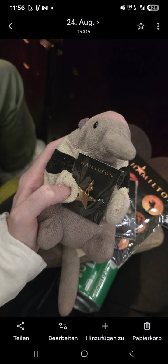 Lost Plush Toy in London