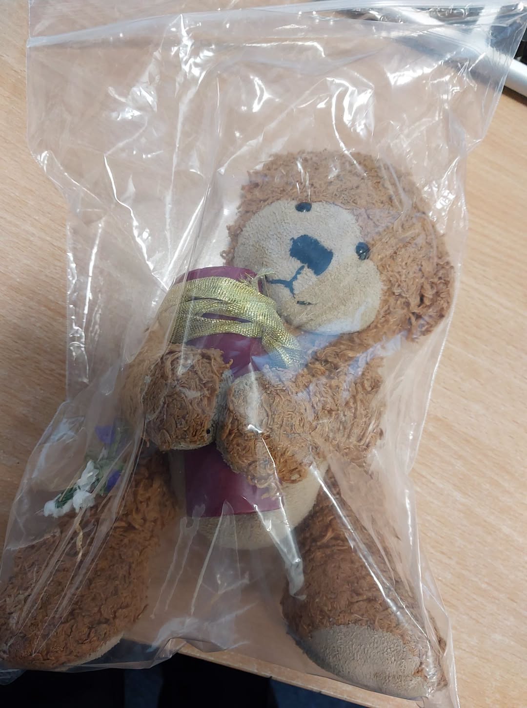 Found teddy bear