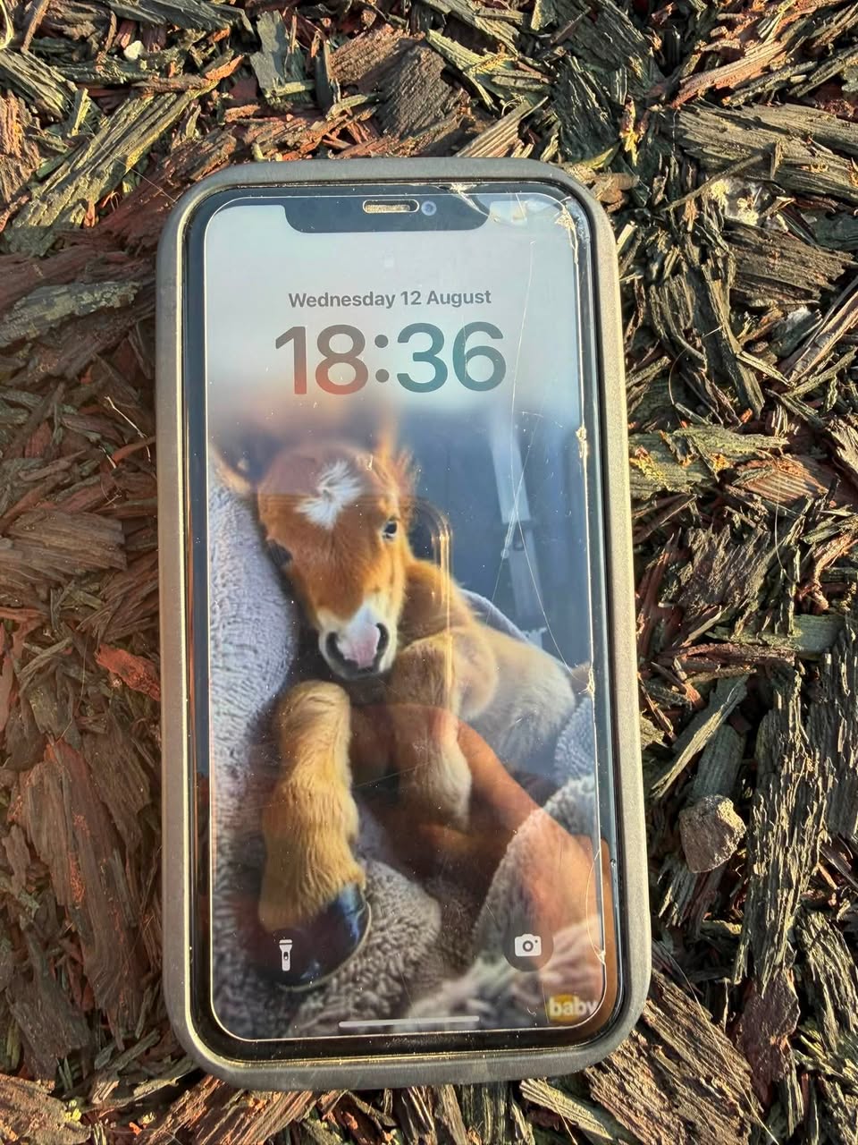 Found phone