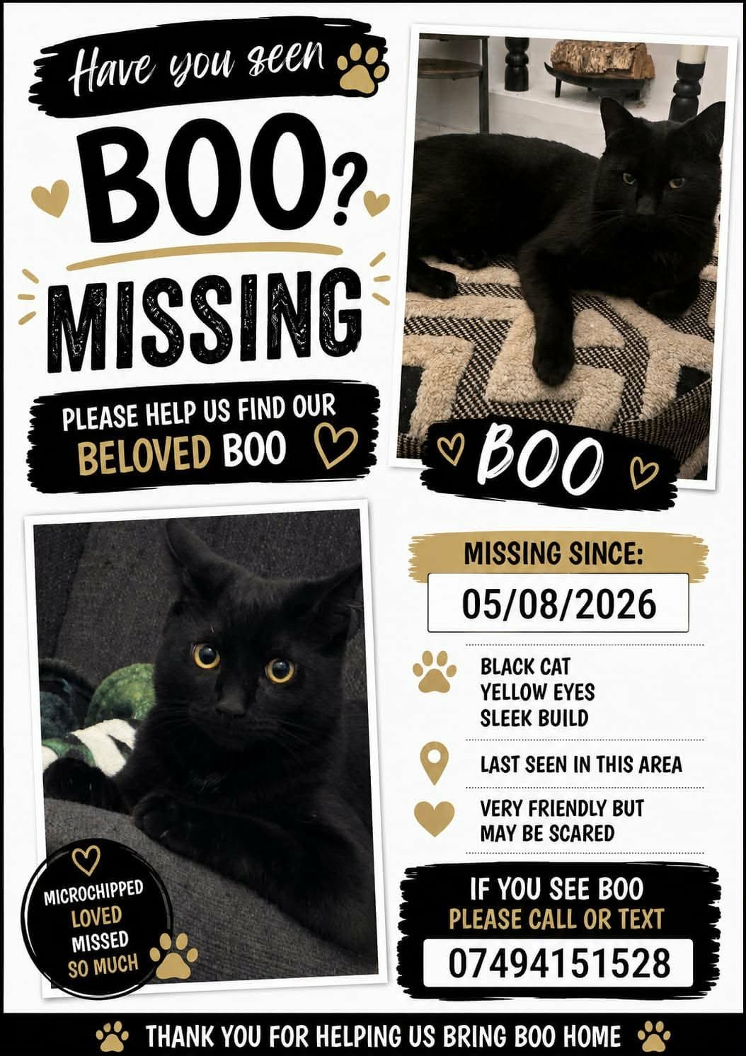 Lost Cat in Liverpool